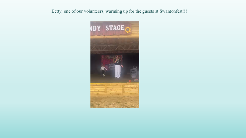 Swantonfest photo 11